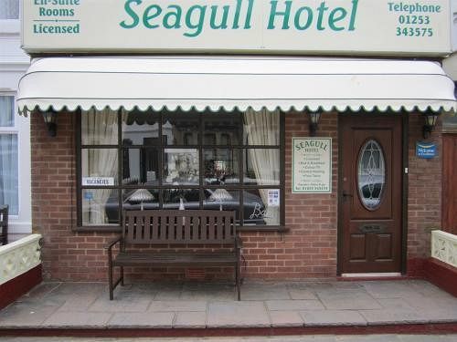 Seagull 3*